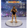 RUMBLESLAM - BIG ANDY (FR + ENG) - RSG-STAR-18FR