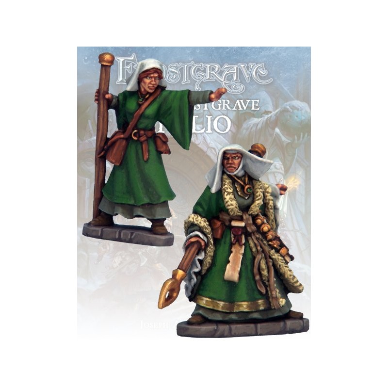 FGV117_Frostgrave - Cryptomancien et apprenti II