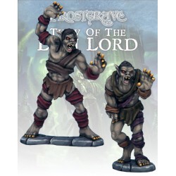 FGV310_Frostgrave - Goules