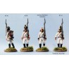 Perry Miniatures - Napoleonic  Austrian ‘German’ Infantry