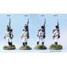 Perry Miniatures - Napoleonic  Austrian ‘German’ Infantry