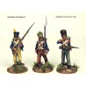 Perry Miniatures - Elite Companies French Infantry 1807-14