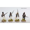 Perry Miniatures - Elite Companies French Infantry 1807-14