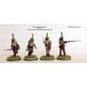 Perry Miniatures - Elite Companies French Infantry 1807-14