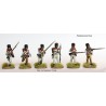 Perry Miniatures - Elite Companies French Infantry 1807-14