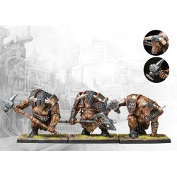 Conquest - City States - Minotaur Thyreans PBCS301