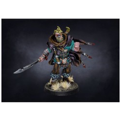 Conquest - Nords - Captain (Officer)