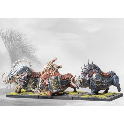 Conquest - Nords - Goltr Beastpack