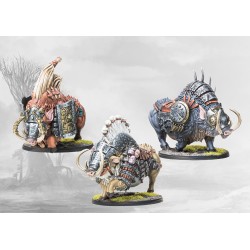 Conquest - Nords - Goltr Beastpack
