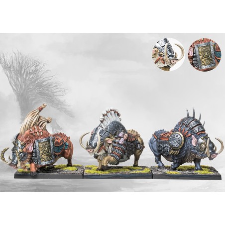 Conquest - Nords - Goltr Beastpack  PBW4419
