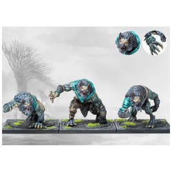 Conquest - Nords - Werewargs PBW4417