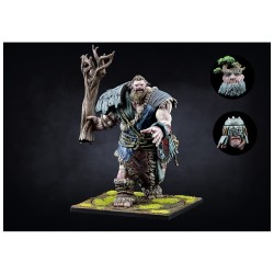 Conquest - Nords - Mountain Jotnar PBW4403