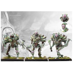 Conquest - Spires - Incarnate Sentinel PBW1124