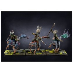 Conquest - W’adrhŭn - Raptor Riders PBW9003