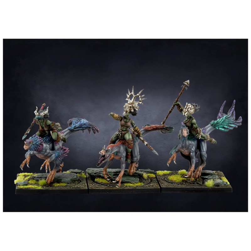 Conquest - W’adrhŭn - Raptor Riders PBW9003