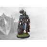 Conquest - Hundred Kingdoms - Errant of the Order of the Shield PBW7239