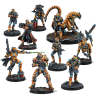 Infinity - Pack Exclusive