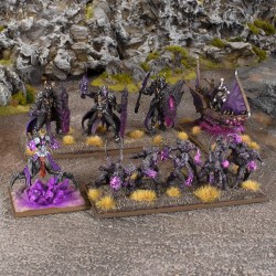 Kings of War - Champions - La’theal Voidheart Company Box (ENG)