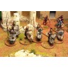 Victrix Miniatures - Warriors of Carthage