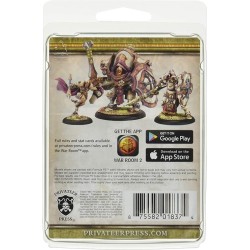 Warmachine - Protectorate Of Menoth - Deliverer Arms Master Miniature Game