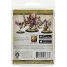 Warmachine - Protectorate Of Menoth - Deliverer Arms Master Miniature Game