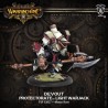 Warmachine - Protectorate Of Menoth - Devout