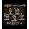 Warmachine - Mercenaries - Steelhead Heavy Cavalry