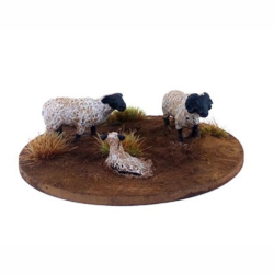 Dead Man’s Hand - Mouton (6 figurines) DMH657