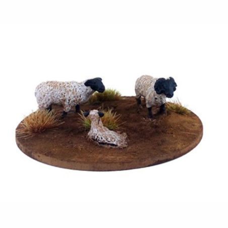 Dead Man’s Hand - Mouton (6 figurines) DMH657