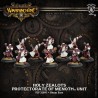 Warmachine - Protectorate Of Menoth - Holy Zealots Unit PIP32095