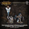 Warmachine - Cygnar - Precursor Knights Officer & Standard PIP42009
