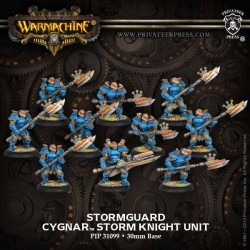Warmachine - Cygnar - Stormguard Storm Knight  PIP31099