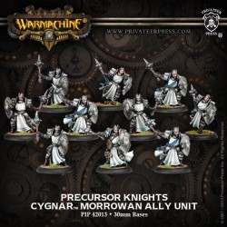 Warmachine - Cygnar - Precursor Knights PIP42013