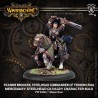 Warmachine - Mercenary - Stannis BrockerPIP41064