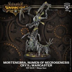Warmachine - Cryx - Mortenebra, Numen of the Necrogenesis PIP34135