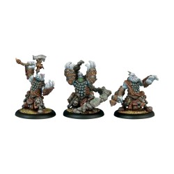 Hordes - Trollbloods - Trollkin Runeshapers  PIP71044