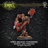 Warmachine Hordes - Skorne - Lord Assassin Morghoul PIP74034