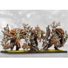 Conquest - Weaver Courts - Crann Guardians