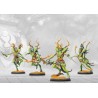 Conquest - Weaver Courts - Kern Skirmishers