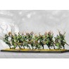 Conquest - Weaver Courts - Kern Skirmishers
