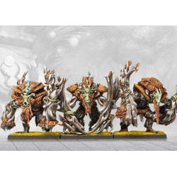 Conquest - Weaver Courts - One Player Starter Set