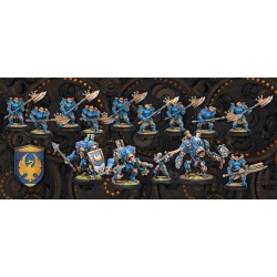 Warmachine - Two Player Battle Box