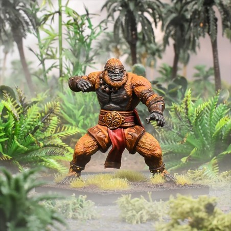 MGKWX402 Kings of War - Xirkaali - Shaoquan