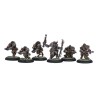 PIP75002_Hordes - Minions - Farrow Brigands Unit