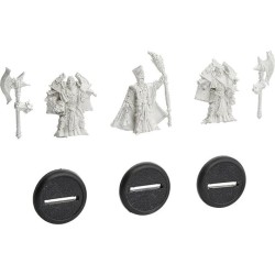 Warmachine - Protectorate - Visgoth Rhoven Bodyguards PIP32056