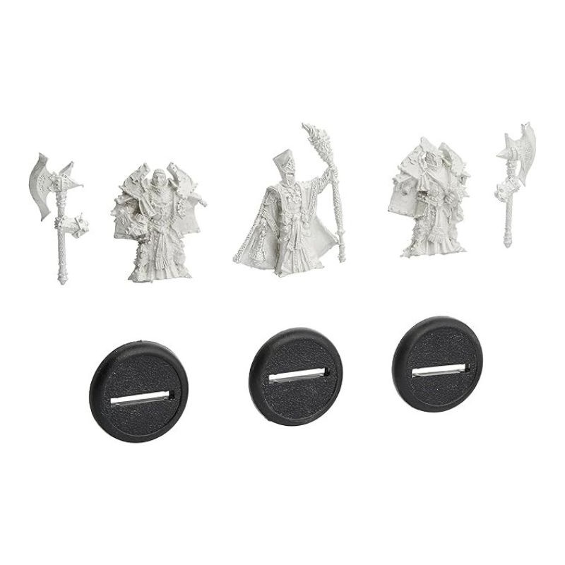 Warmachine - Protectorate - Visgoth Rhoven Bodyguards PIP32056