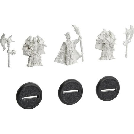 Warmachine - Protectorate - Visgoth Rhoven Bodyguards PIP32056