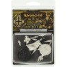 Warmachine - Protectorate - Feora, Protecteur du modèle de la Flamme kit PIP32040