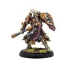 Warmachine - Protectorate - Exemplar Warder Solo PIP32132