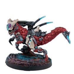 Infinity - Next Wave Action Pack